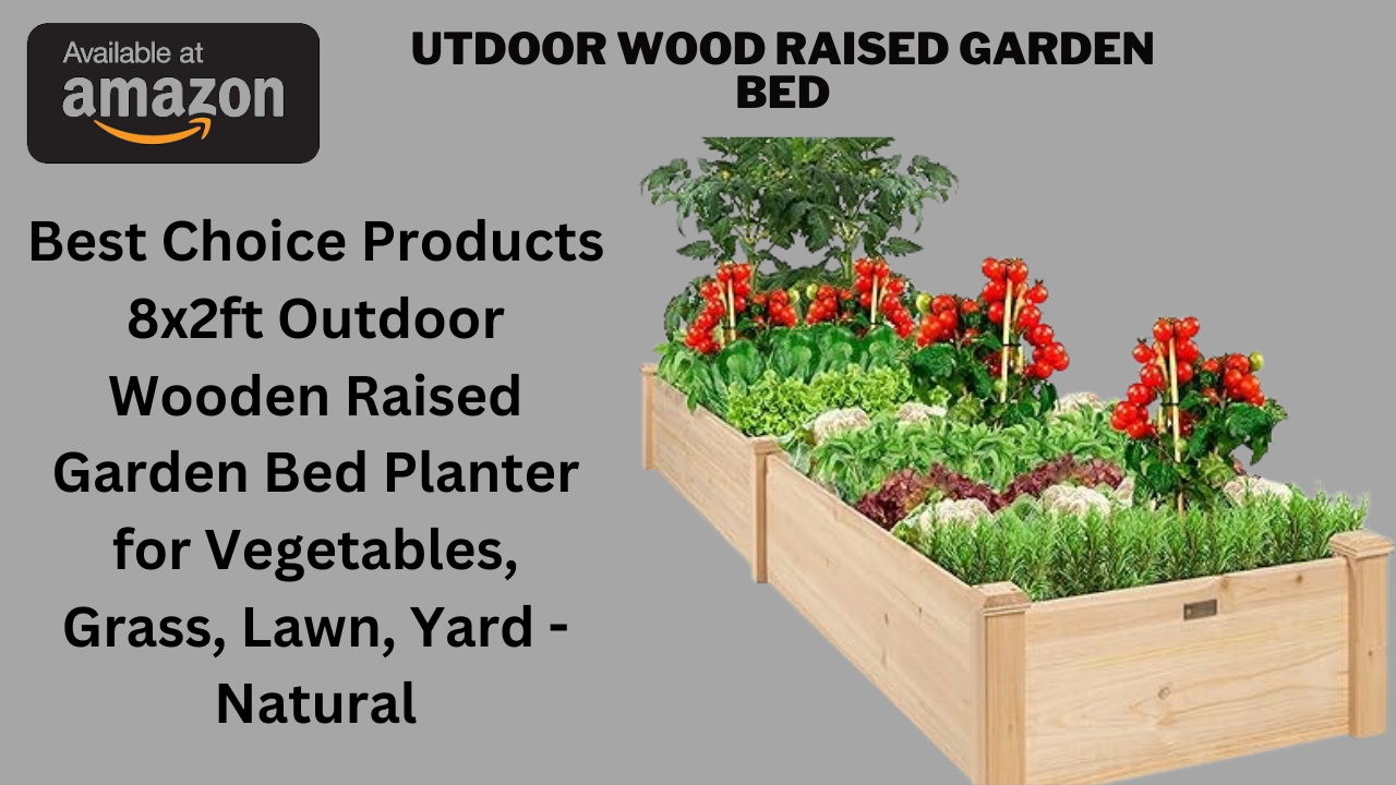 Outdoor Wood Raised Garden Bed